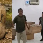 रुड़की में सांपों एवं उनके विष की तस्करी प्रकरण ने लिया नया मोड़, मेनका गांधी ने मुख्य सचिव को लिखा पत्र, DFO व SDO की संपत्ति की जांच व सस्पेंड करने की करी मांग !!