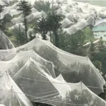 बागवानी को ओलों से बचाने के लिए राज्य सरकार ने बढ़ाई सब्सिडी, एन्टी हेल नेट खरीद पर मिलेगी कुल 75 प्रतिशत की छूट !!